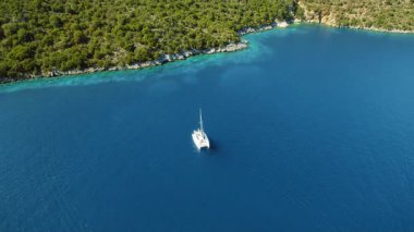Orman kıyısı yakınlarındaki derin mavi denizde yüzen tek bir katamaran..