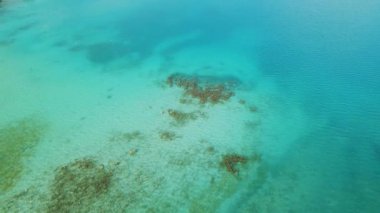 Meksika 'daki Bacalar Gölü' ndeki temiz turkuaz sığ suyun havadan görüntüsü..