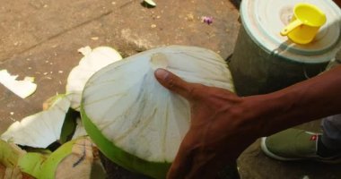 Yakın çekim yapan el, genç hindistan cevizinden yeşil kabuğu çıkarıp müşteri için içecek hazırlıyor..