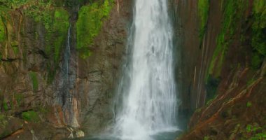 Güçlü Catarata del Toro Blue Falls Şelalesi Kosta Rika 'da kayalık bir uçurumdan havuza düştü..
