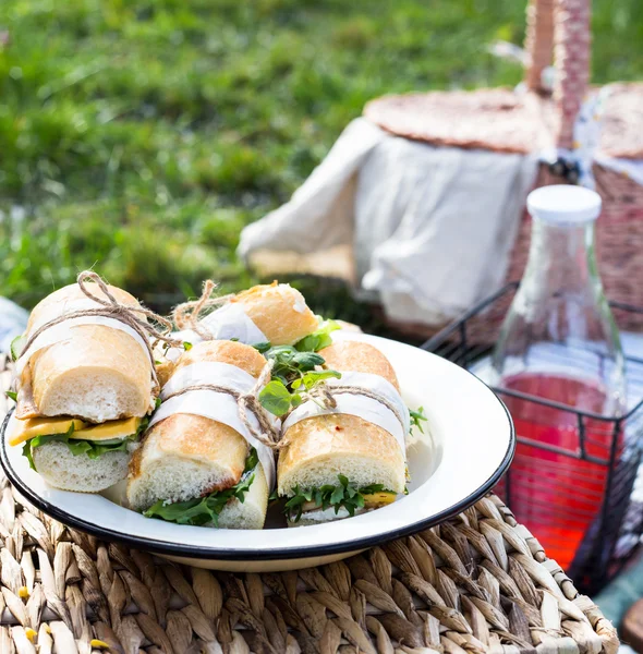 Пикник с бутербродами снаружи — стоковое фото