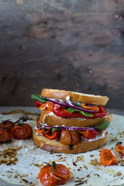 Fresh  vegetable sandwich — Stock Photo, Image