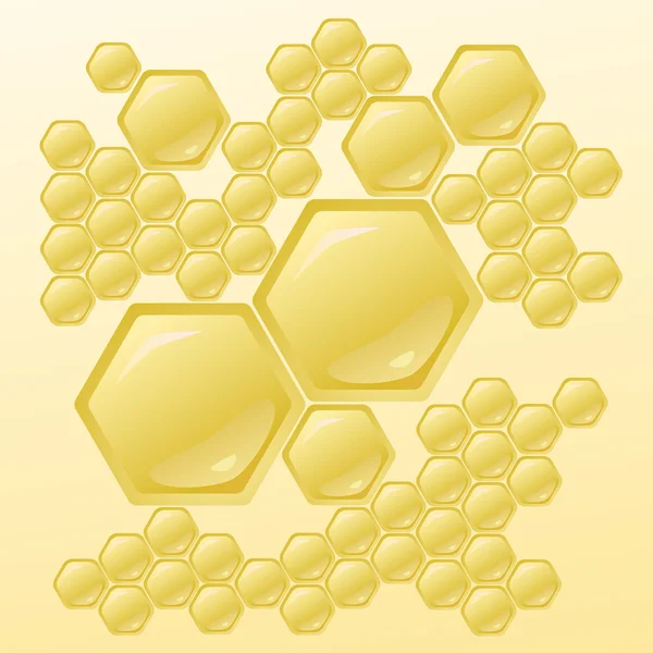 Vektor Illustration med honungskakor — Stock vektor