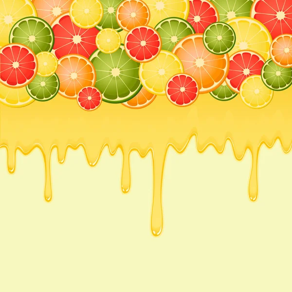 Citrusvruchten met een stromende vloeistof, SAP en honing — Stockvector