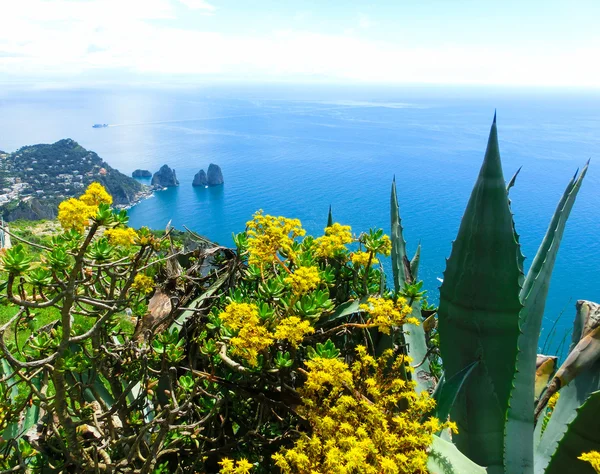 Capri Ilha Itália Capri Uma Ilha Mar Tirreno Perto Nápoles — Fotografia de Stock