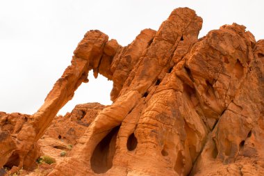 Fil Rock vadisinde yangın State Park, ABD.
