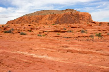 İnanılmaz renkler ve yangın dalga kaya şeklinde