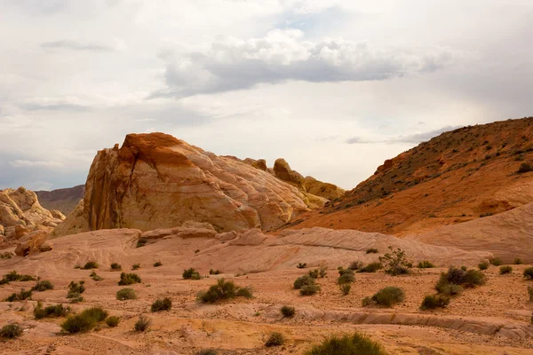 The Valley of Fire State Park, Estados Unidos . —  Fotos de Stock