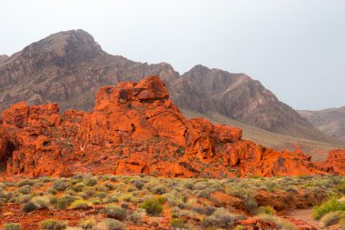 Yangın State Park, ABD Vadisi.