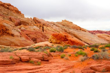 Yangın State Park, ABD Vadisi.