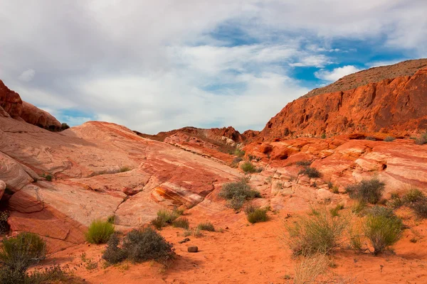 The Valley of Fire State Park, Estados Unidos . —  Fotos de Stock