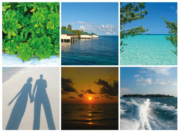 Collage de imágenes de maldivas de playa de verano - naturaleza y fondo de viaje —  Fotos de Stock