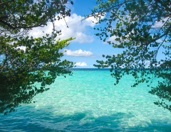 Biały tropikalnej plaży w Malediwy drzew i blue lagoon — Zdjęcie stockowe