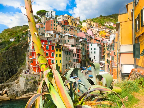 Riomaggiore Parque Nacional Cinque Terre Liguria Spezia Italia — Foto de Stock
