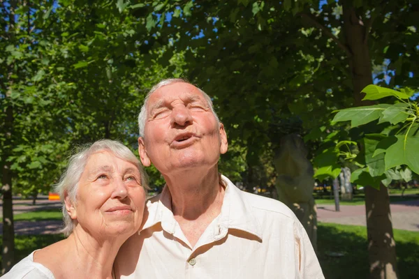 La coppia vecchia felice nell'estate su una passeggiata — Foto Stock