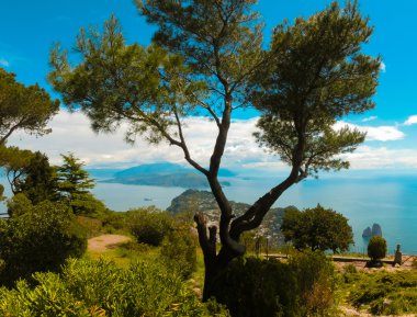 Güzel Capri Adası
