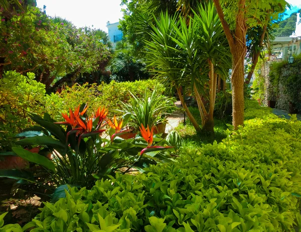 Общественный сад Бауэра на острове Капри — стоковое фото
