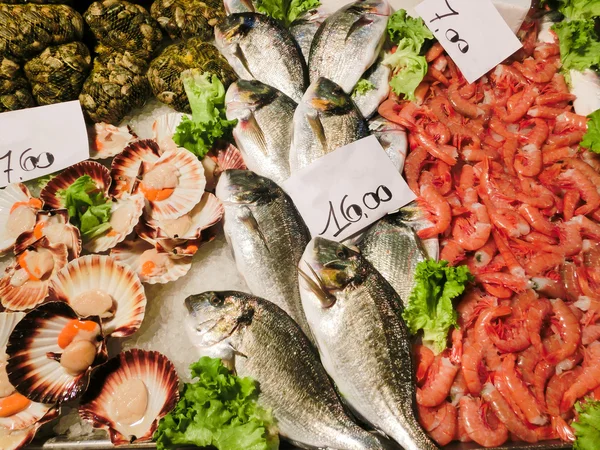 Venetianska Fiskmarknaden Dorados Och Räkor Rialtos Fiskmarknad Ligger Längs Canal — Stockfoto