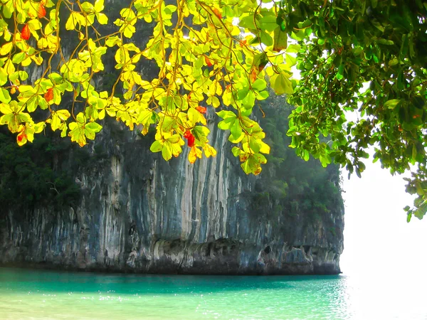 Tropikalny krajobraz. Railay beach, Krabi, Tajlandia — Zdjęcie stockowe