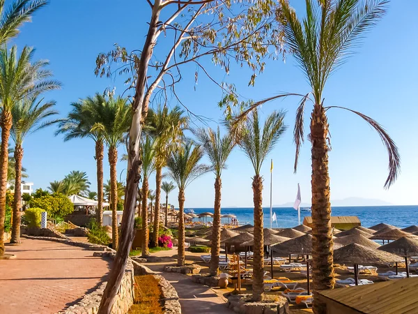 Beach Luxury Hotel Sharm Sheikh Egypt Umbrella Blue Sky — Stock Photo, Image
