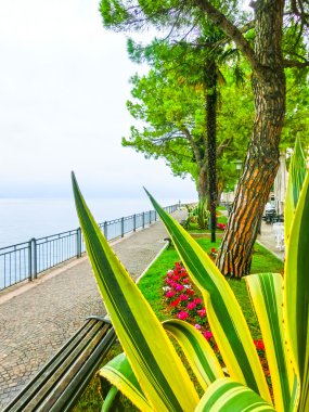 Kıyıdaki yürüyüş yolu, Garda Gölü, İtalya, Avrupa