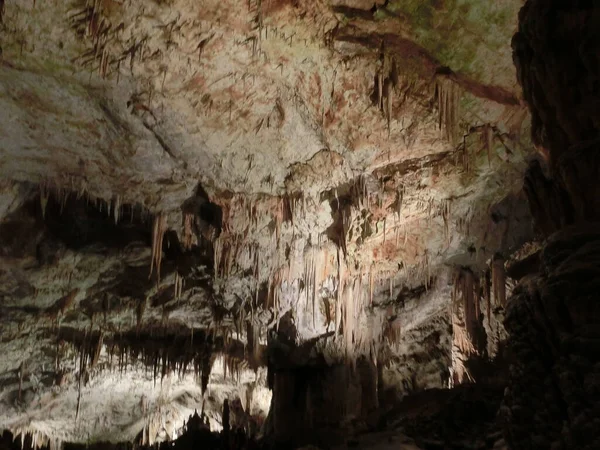 Γραφικά Καρστικά Χαρακτηριστικά Που Φωτίζονται Στο Σπήλαιο Postojna Grotte Postojnska — Φωτογραφία Αρχείου
