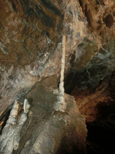 Schilderachtige Karstkenmerken Verlicht Grot Postojna Grotte Postojnska Jama Slovenië Europa — Stockfoto