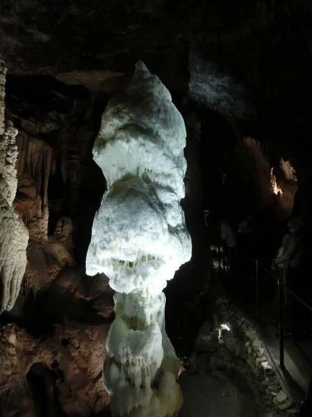 Pittoreska Karst Funktioner Belysta Grottan Postojna Grotte Eller Postojnska Jama — Stockfoto