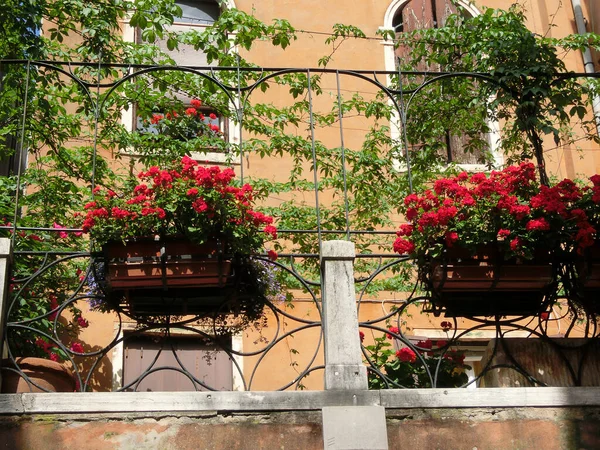이탈리아 베니스에 중세가 옥들의 — 스톡 사진