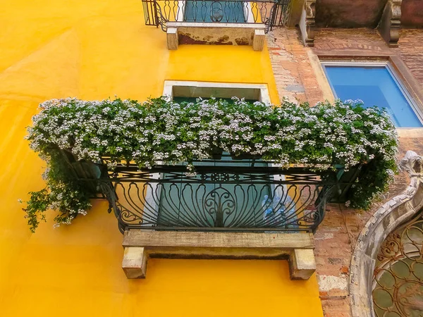 Bunte Alte Fenster Aus Venedig Italien — Stockfoto