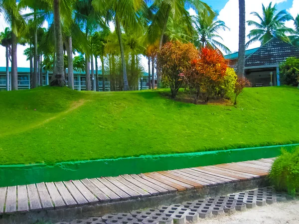 Fort France Martinique Zöld Strand Martinique Partjainál Francia Karib Szigeteken — Stock Fotó