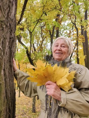 Gri saçlı, gülümseyen yaşlı kadın sonbahar parkında. Mutlu yaşlılık, doğa yürüyüşü, olumlu duygular..