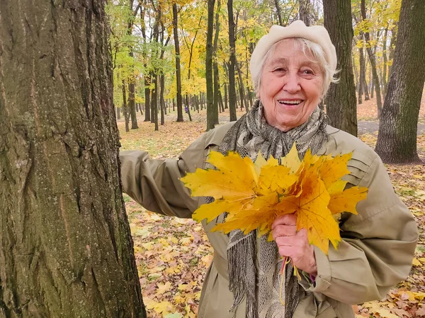 Gri saçlı, gülümseyen yaşlı kadın sonbahar parkında. Mutlu yaşlılık, doğa yürüyüşü, olumlu duygular..