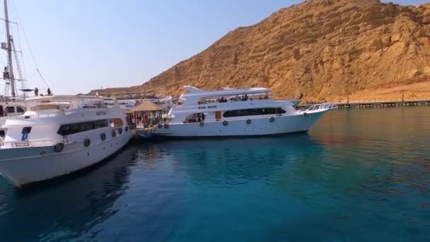 Sharm Sheikh Mesir Februari 2020 Menyenangkan Yacht Pelabuhan Untuk Pelayaran — Stok Video