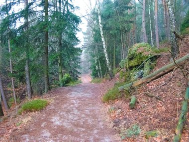 Almanya 'daki Saksonya parkı taşlarla dolu