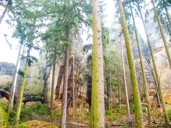 Saxônia parque na Alemanha com pedras — Fotografia de Stock