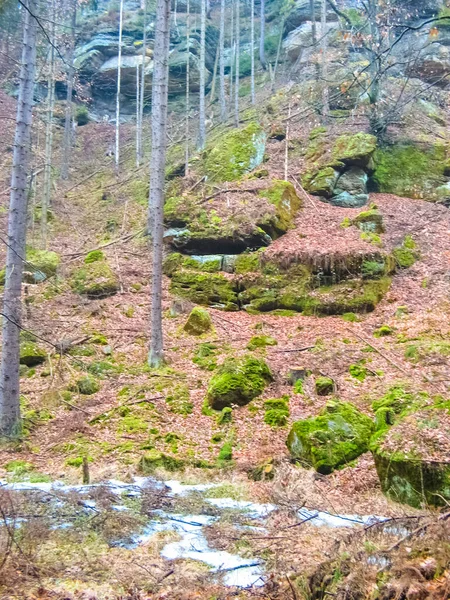 Ruta ciclului în Saxonia la Luzatia Superioară — Fotografie, imagine de stoc