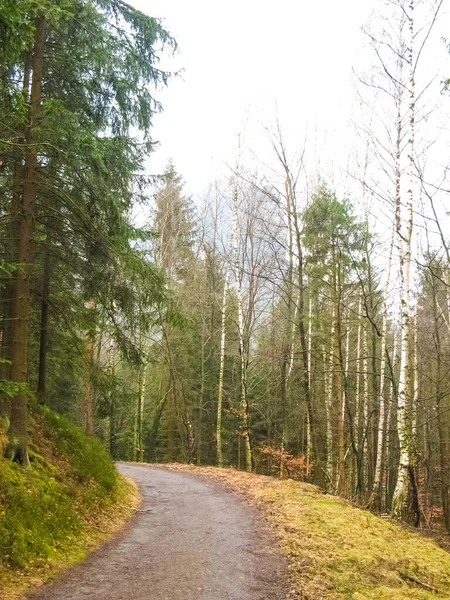 Szászország park Németországban kövekkel — Stock Fotó