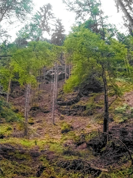 Deutschland Bastei Blick Von Der Bastei Der Sächsischen Schweiz Auf — Stockfoto