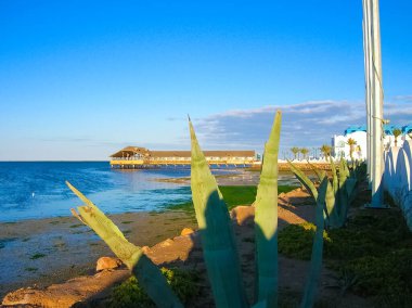 Tunus 'taki Cerba limanı - Tunus' taki Djerba adasındaki yerel tekneler, Akdeniz 'deki