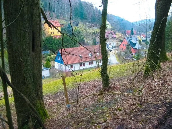 Skogen Klippor Nationalparken Saxon Schweiz — Stockfoto