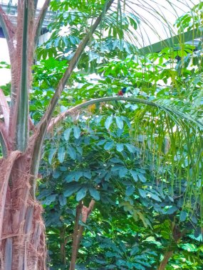 Berlin, Almanya - Berlin, Almanya 'da Biyosfer Potsdam Manzarası