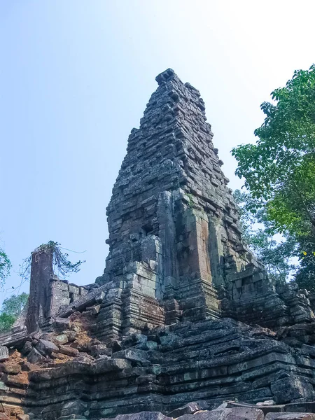 Ağaçların Eski Tapınağın Resmi Angkor Kamboçya — Stok fotoğraf