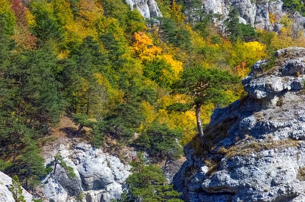 Krimberge Berge Auf Der Krim Einem Sonnigen Sommertag — Stockfoto