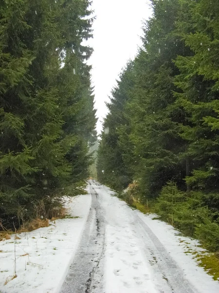 Cycle route in Saxony at Upper Lusatia in springtime. Saxon Switzerland, Saxony, Germany, Europe at winter or spring time