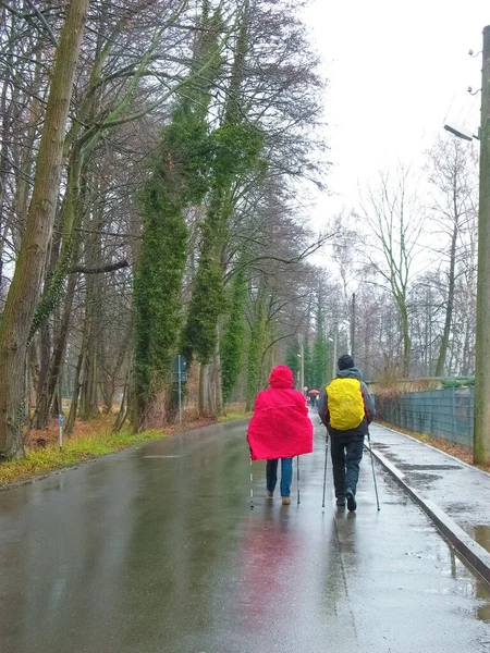 Casal Caminhando Nórdica Marcha Caminhando Através Parque Berlim Alemanha — Fotografia de Stock