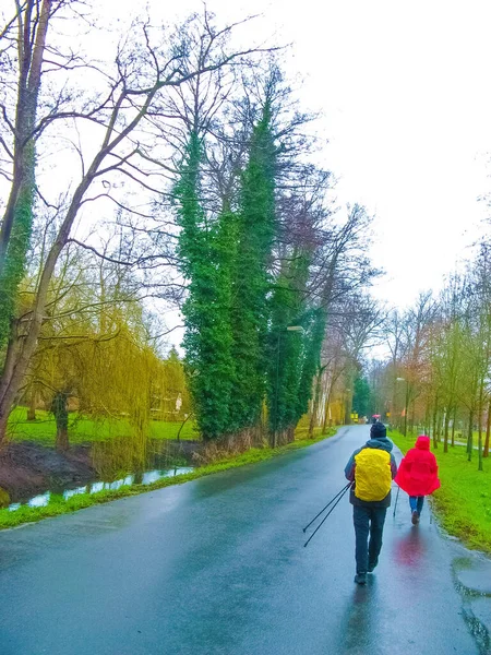 Couple Marche Nordica Marche Randonnée Travers Parc Berlin Allemagne — Photo