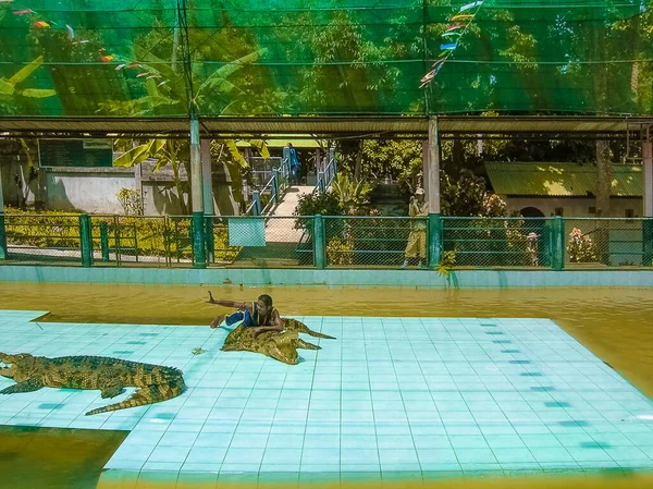 Koh Samui Thailand Juni 2008 Krokodil Wrestler Bei Einer Show — Stockfoto