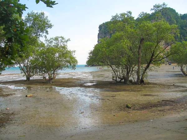 East Railay Stranden Lågvatten Populära Berömda Resmål Krabi Province Thailand — Stockfoto