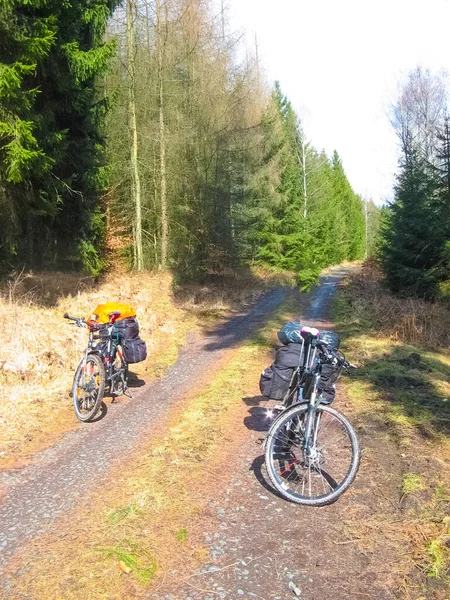 Cycle route in Saxony at Upper Lusatia in springtime